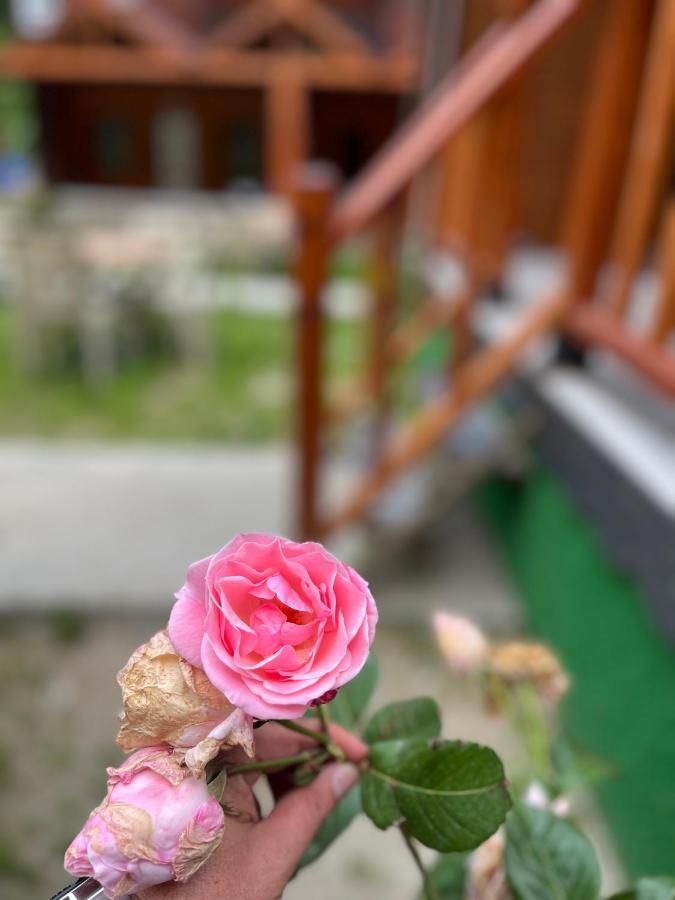 Ay Home Apart&Bungalov Uzungol Bagian luar foto